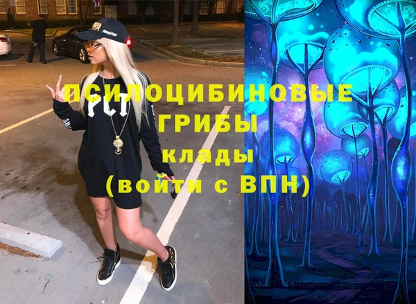 спайс Инсар