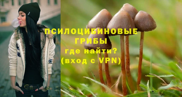 спайс Инсар