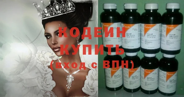 2c-b Инта